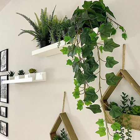 Capuanshome-Intero Appartamento Roma Ngoại thất bức ảnh